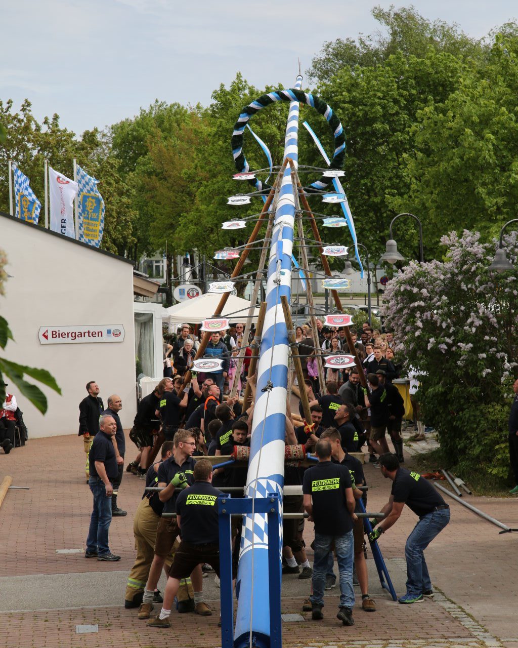 Maibaum aufstellen